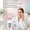 Garnier Skin Active Micellar Cleansing Water
